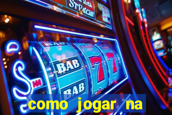 como jogar na lotinha do jogo do bicho