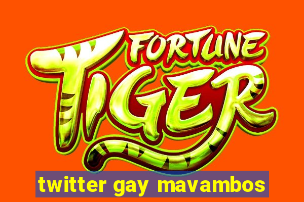 twitter gay mavambos