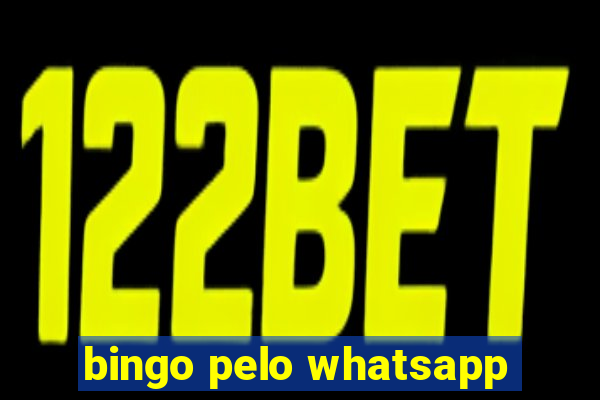 bingo pelo whatsapp