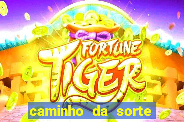 caminho da sorte esporte net