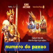 numero do pavao