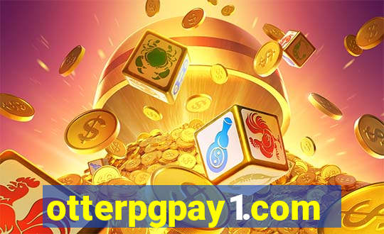 otterpgpay1.com