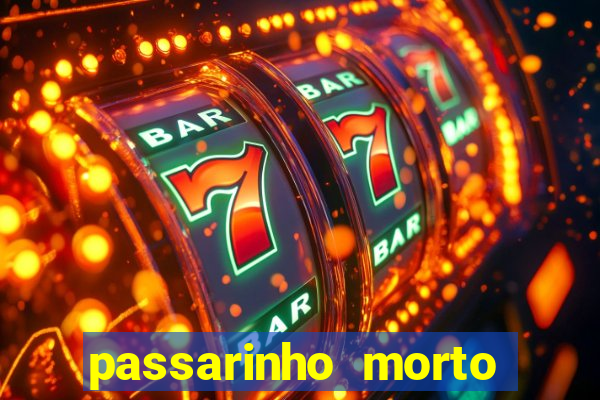 passarinho morto significado espiritual