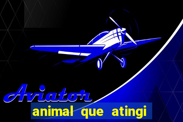 animal que atingi 230 decibeis