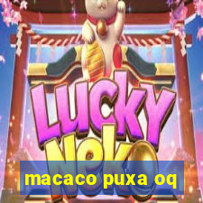 macaco puxa oq