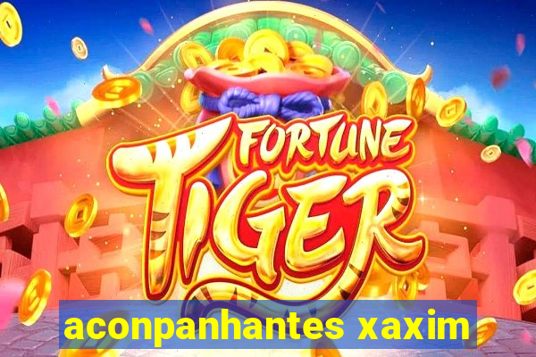 aconpanhantes xaxim