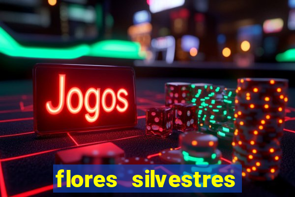 flores silvestres desbravadores desbravadores 25