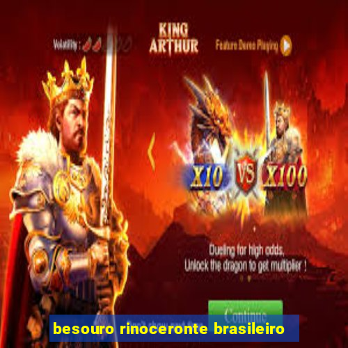 besouro rinoceronte brasileiro