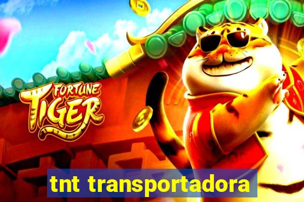 tnt transportadora